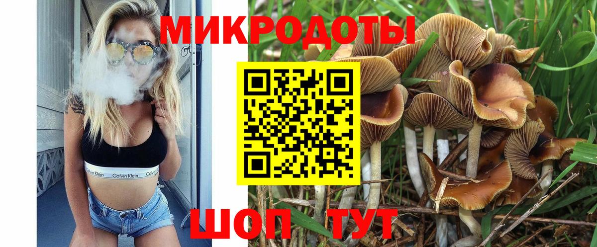 Кубинка  Галлюциногенные грибы Cubensis  Вход с VPN 